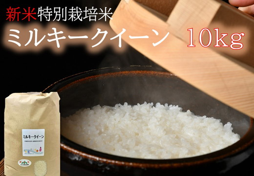【1-272】（新米）ミルキークイーン（特別栽培米）10kg