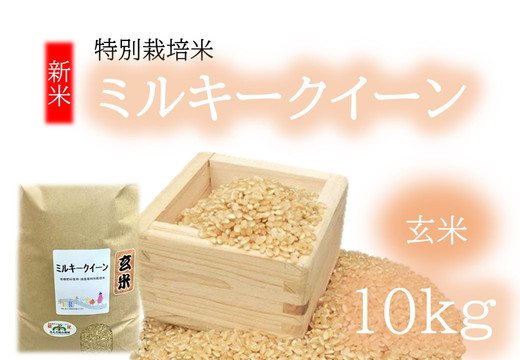 【1-376】（新米）ミルキークイーン（特別栽培米）玄米 10㎏