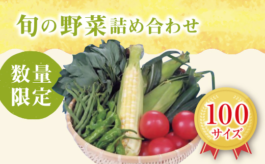 【1-7】旬の野菜詰合せ おまかせセット【限定30/月】