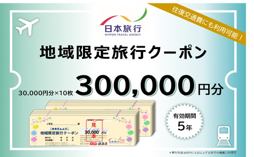 【100-3】日本旅行地域限定旅行クーポン　300,000円分