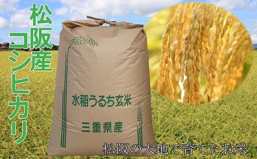 【3-64】松阪産コシヒカリ玄米　30kg【数量限定】