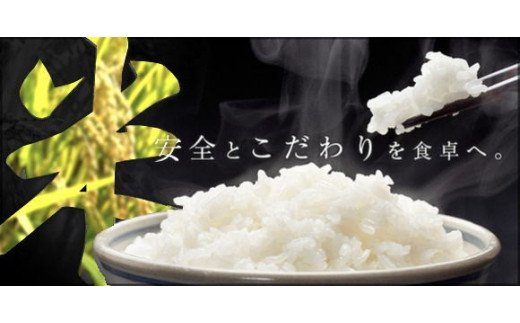 【5-43】特別栽培米　ミルキークイーン精米　10kg×3回（定期便）