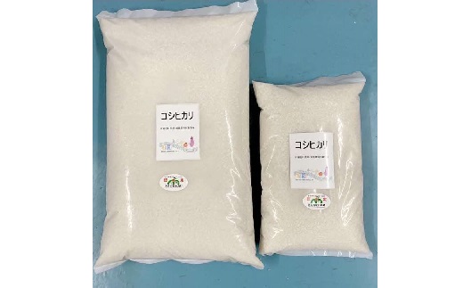 【1-234】コシヒカリ（特別栽培米）13kg【期間限定】